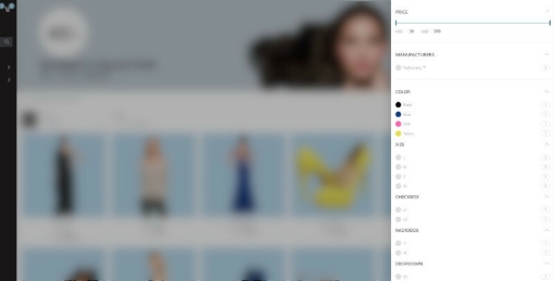 قالب دیوایدر ناپ کامرس - فیلتر